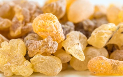 کندر و بیش فعالی